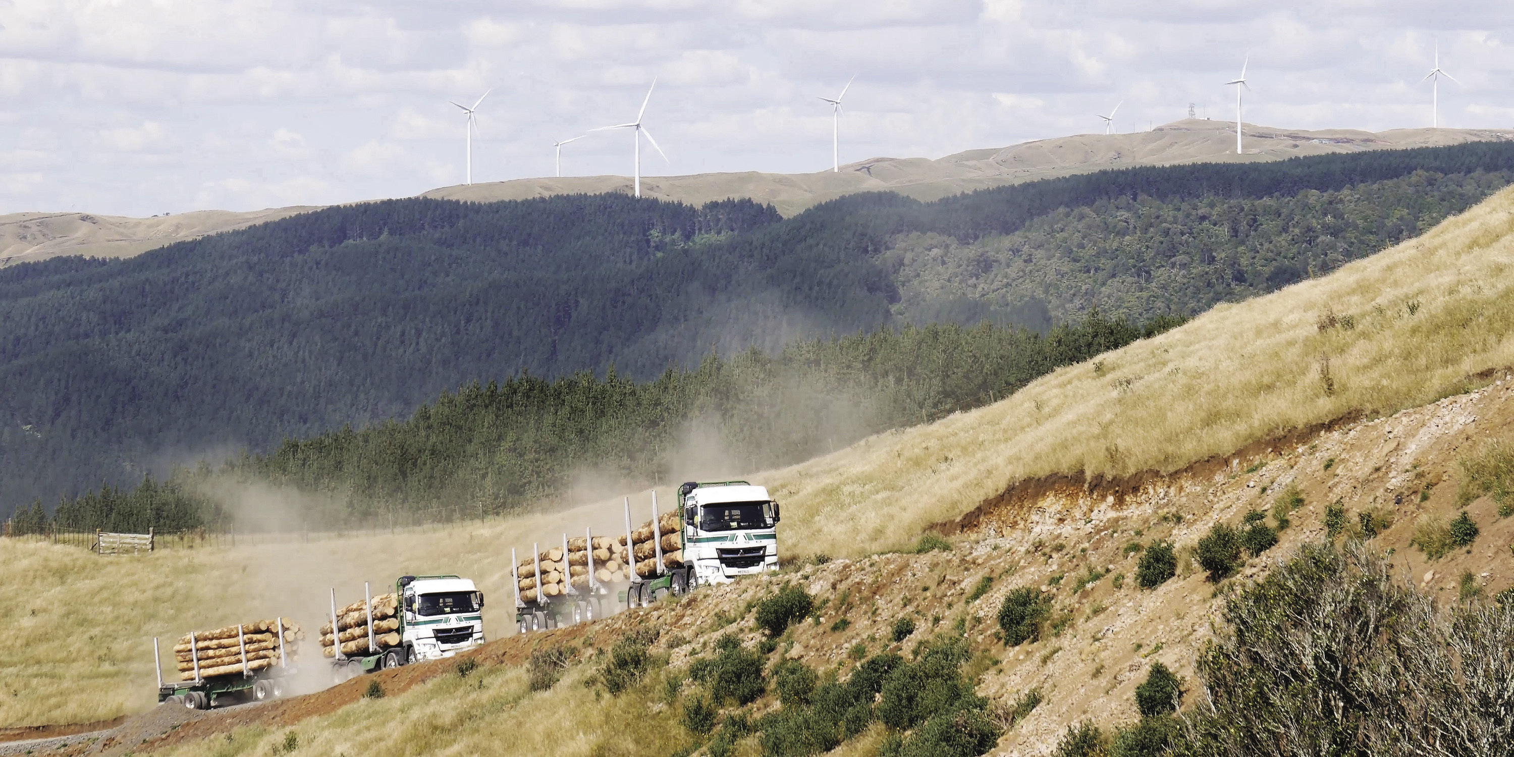 FUSO heavy-duty Shogun logging truck