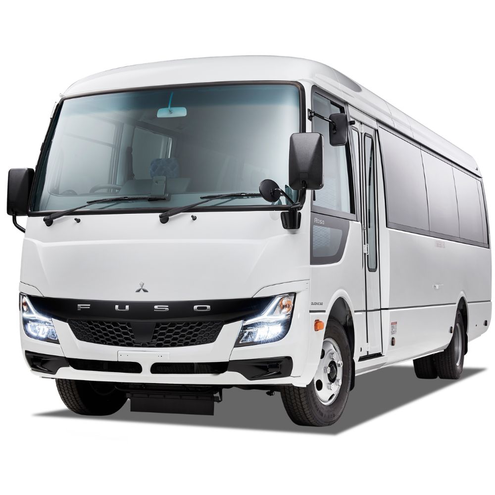 Rosa School Bus